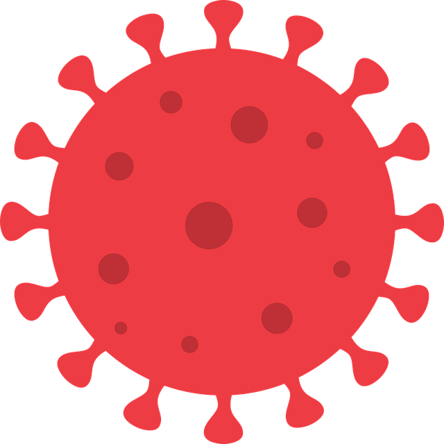 coronavirus-5107804_640